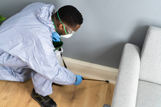 Best Termite Inspection and Treatment  in Cold Spring Harbor, NY